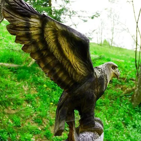 гірська хата Hotel *